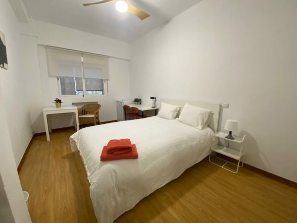 Imagen de WhatsApp 2024-12-30 a las 19.08.48_e7f97c59 Imagen de WhatsApp 2024-12-30 a las 19.08.48_e7f97c59