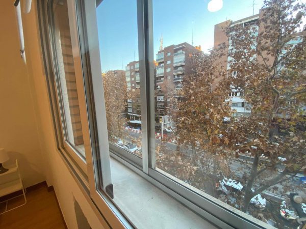 Imagen de WhatsApp 2024-12-30 a las 19.09.14_028deb7c Imagen de WhatsApp 2024-12-30 a las 19.09.14_028deb7c