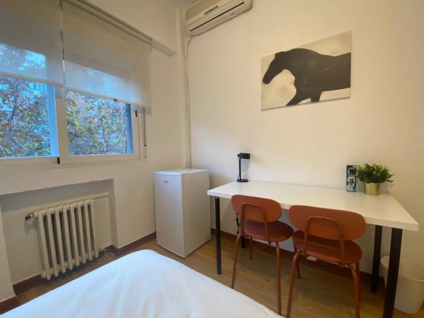 Imagen de WhatsApp 2024-12-30 a las 19.09.19_b9790538 Imagen de WhatsApp 2024-12-30 a las 19.09.19_b9790538