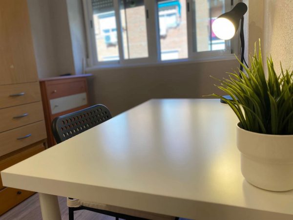 WhatsApp Image 2021-11-16 at 19.01.05