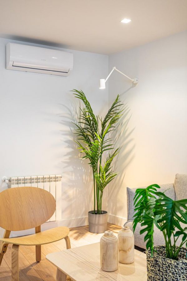 WhatsApp Image 2022-12-12 at 21.05.58 WhatsApp Image 2022-12-12 at 21.05.58