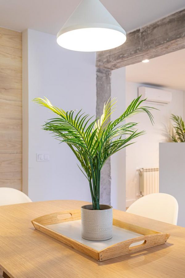 WhatsApp Image 2022-12-12 at 21.05.59 (3) WhatsApp Image 2022-12-12 at 21.05.59 (3)