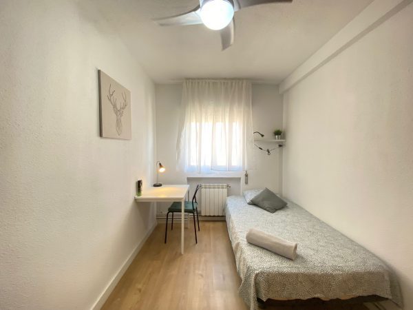 WhatsApp Image 2023-07-22 at 10.31.10 (3)