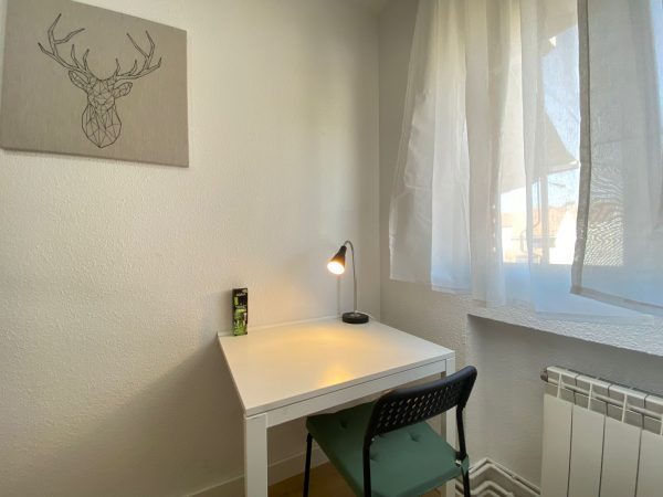 WhatsApp Image 2023-07-22 at 10.31.10 (6)